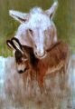 AMOUR ET TENDRESSE DANS LE PRE - PEINTURE ANIMALIERE - divers
