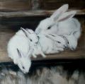 AMOUR ET TENDRESSE DANS LE CLAPIER - PEINTURE ANIMALIERE - divers
