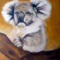 KOALA DANS SES PENSEES - PEINTURE ANIMALIERE - divers