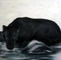 PANTHERE NOIRE - PEINTURE ANIMALIERE - divers