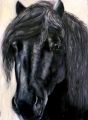 MERENS DE BANAT - PEINTURE ANIMALIERE - CHEVAUX